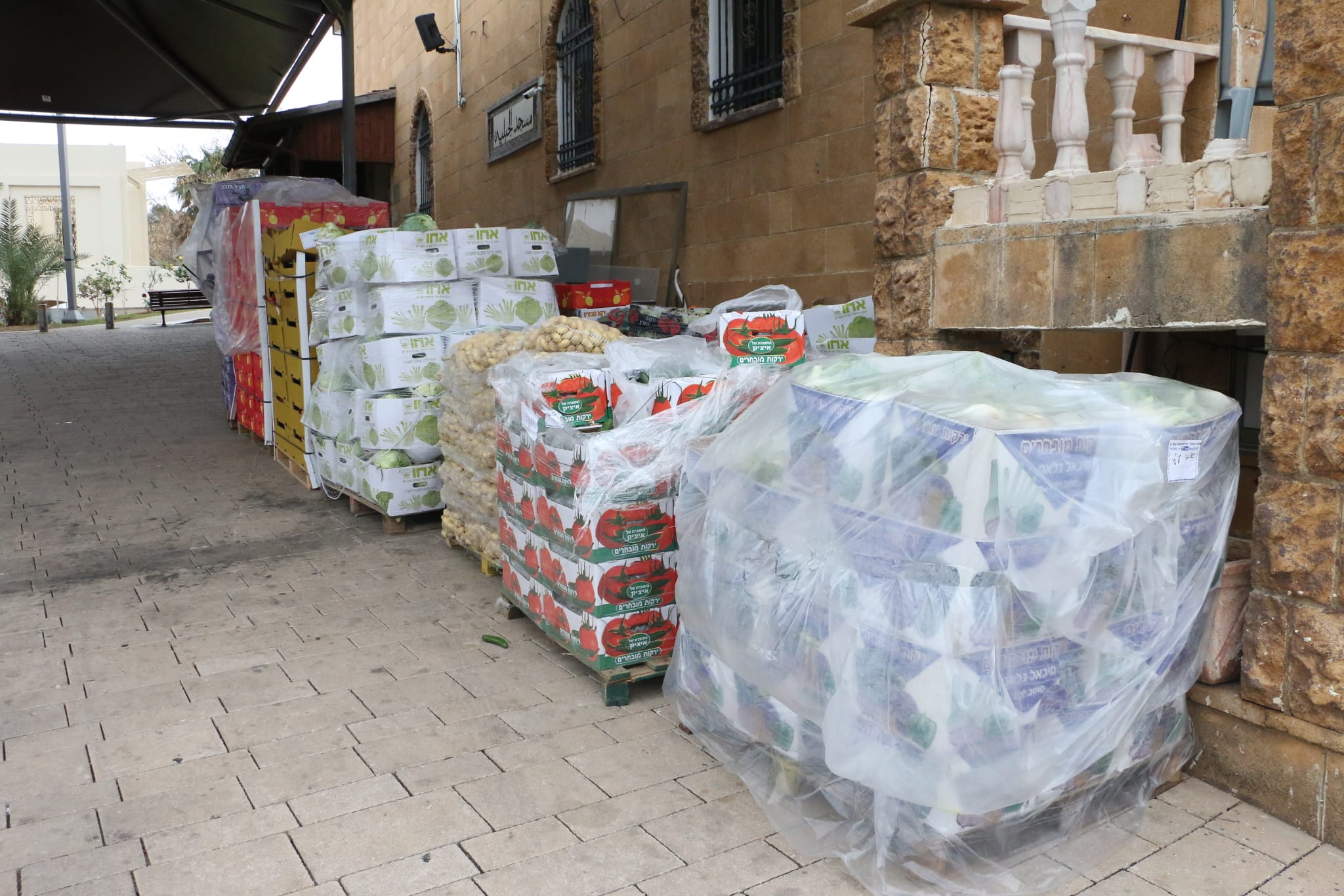 WhatsApp Image 2023-04-11 at 8.33.00 AM.jpeg